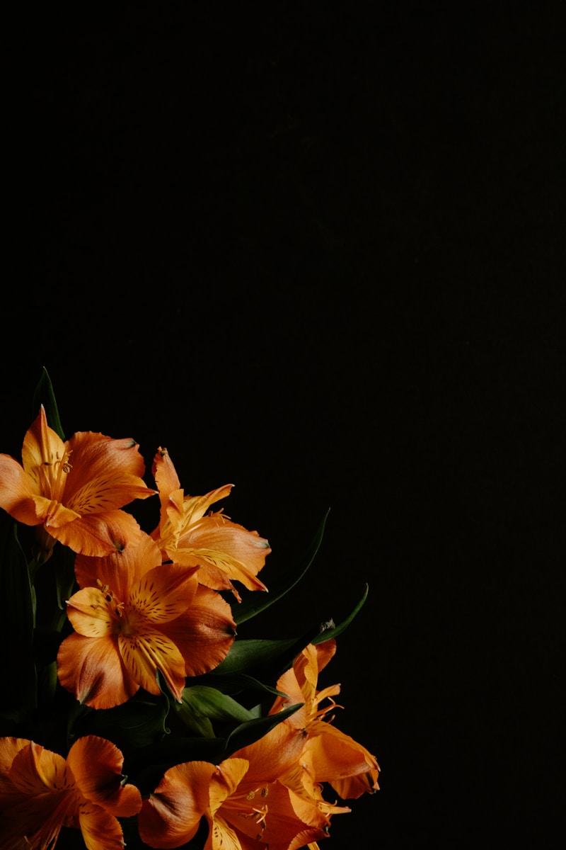 a vase filled with orange flowers on top of a table